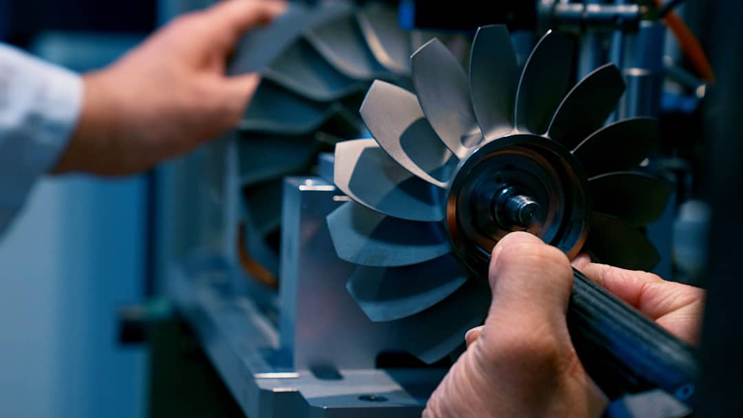 Picture of the author