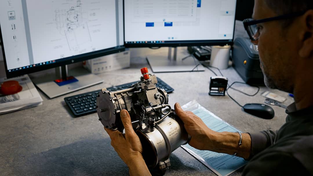 Picture of the author